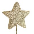 Floristik24 Glitterstjärna på tråden 4cm guld 60st