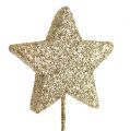 Floristik24 Glitterstjärnor på tråd 5cm guld L23cm 48st