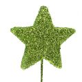 Floristik24 Glitter stjärnor på trådgrön 5cm 48st