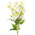 Floristik24 Konstgjord Gloriosa-blomma, vit och gul, elegant blommande gren för dekoration, 80 cm, 3 stycken