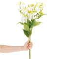 Konstgjord Gloriosa-blomma, vit och gul, elegant blommande gren för dekoration, 80 cm, 3 stycken | Floristik24.se