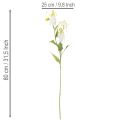 Konstgjord Gloriosa-blomma, vit och gul, elegant blommande gren för dekoration, 80 cm, 3 stycken | Floristik24.se