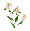 Floristik24 Gloriosa rosa-vit konstgjord 84cm 3st