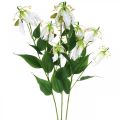 Floristik24 Konstgjord lilja, blomsterdekoration, konstgjord växt, sidenblomma vit L82cm 3st