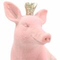 Floristik24 Dekorativt figurset lycklig gris med gyllene krona 12 × 7 × 13 cm / 9,2 × 5,5 × 10 cm 2st