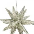 Floristik24 Glitterstjärnor att hänga champagne julgranspynt 7,5 cm 8 st