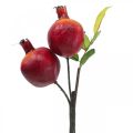 Floristik24 Dekorativ gren granatäpple dekoration, dekorativ frukt, dekorativ granatäpple 39cm