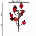 Konstgjord granatäpplegren med förgrenande stjälkar som vasdekoration, 19 cm, 4 stycken | Floristik24.se
