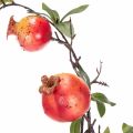 Konstgjord granatäpplegren som fruktgren för bordsdekoration, 68 cm | Floristik24.se