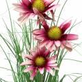 Floristik24 Gräs med Echinacea konstgjord i kruka rosa 44cm