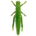 Floristik24 Gräshoppa grön 11cm 1p