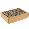 Dekorativ mossa, grå mossa för pyssel, 500 g | Floristik24.se