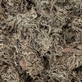 Dekorativ mossa, grå mossa för pyssel, 500 g | Floristik24.se