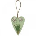 Floristik24 Dekorativa hjärtan att hänga med blommor trägrön, vit 8,5×12cm 4st