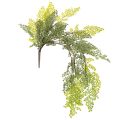 Floristik24 Konstgjord ormbunksgrann, delikat, för vas, 80 cm