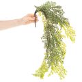 Konstgjord ormbunksgrann, delikat, för vas, 80 cm | Floristik24.se