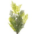 Konstgjord ormbunksgrann, delikat, för vas, 80 cm | Floristik24.se