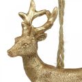 Floristik24 Julhänge ren deco hjort guld 9,5cm 4st