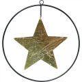 Floristik24 Juldekoration stjärnhänge guld svart 12,5cm 3st