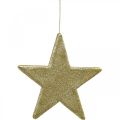 Floristik24 Juldekoration stjärnhänge gyllene glitter 30cm 2st