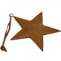 Floristik24 Julhänge stjärna metall stjärnrost utseende H13,5cm