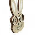 Floristik24 Trähänge kanin med glasögon morot brun beige 4×7,5cm 9st