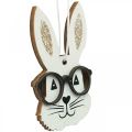 Floristik24 Trähänge kanin med glasögon morotsglitter 4×7,5cm 9st