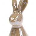 Floristik24 Dekorativ kaninbrun pärlemor 15,5cm 2st