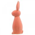 Floristik24 Deco kanin flockad aprikos, påskdekoration H30cm 2st