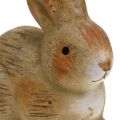 Floristik24 Keramisk kanin naturlig 7cm x 8cm 6st