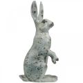 Floristik24 Dekorativ kanin till påsk, vårdekoration i betonglook, trädgårdsfigur med guldaccenter, shabby chic H42cm