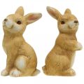 Floristik24 Kanin sittande, keramisk dekoration, påsk, par kaniner brun H15cm set om 2
