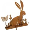 Floristik24 Bunny flower plug rost dekorativ plugg metall påsk 11cm 4st
