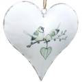 Floristik24 Dekorationshängarehjärta med fågelmotiv, hjärtdekoration för Alla hjärtans dag, metallhängande hjärtform 4st