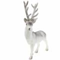 Floristik24 Deco rådjur flockades/snöade 39cm