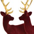 Floristik24 Deer Deco Reindeer Bordeaux Guldkalvflockad 20 cm Set om 2