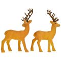 Floristik24 Deer deco rener gul brun flockad H20,5 cm set om 2