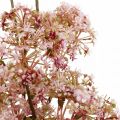 Floristik24 Blommande deco-gren mörkrosa Konstgjorda ängsblommor 88cm