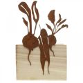Floristik24 Växtlåda trä med rostdekor grönsakscachepott 17×17×12cm