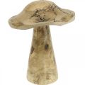 Floristik24 Träsvamp med mönster trädekoration svamp naturlig, gyllene Ø12,5cm H15cm