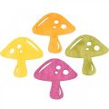 Floristik24 Spridda svampar, höstdekorationer, lyckliga svampar att dekorera apelsin, gul, grön, rosa H3.5 / 4cm B4 / 3cm 72st