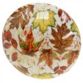 Träsvamp deco höstlöv vita, färgglad höstdekoration Ø13cm H19cm | Floristik24.se