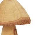 Floristik24 Träsvamp dekoration svamp trädekoration naturlig bordsdekoration höst Ø11cm H28cm