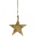 Floristik24 Stjärna att hänga, trädekoration med guldeffekt, advent 14cm × 14cm