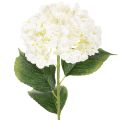 Floristik24 Konstgjord hortensia med lång stjälk, konstgjord blomma, 60 cm