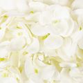 Konstgjord hortensia med lång