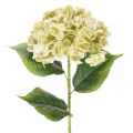 Floristik24 Konstgjord hortensia med lång stjälk och blad, 60 cm