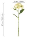 Konstgjord hortensia med lång stjälk och blad, 60 cm | Floristik24.se