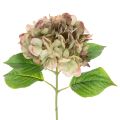Floristik24 Konstgjord hortensia dekorationsblomma med stjälk, 46 cm