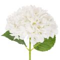 Floristik24 Konstgjord hortensia med lång stjälk för dekoration, 48 cm